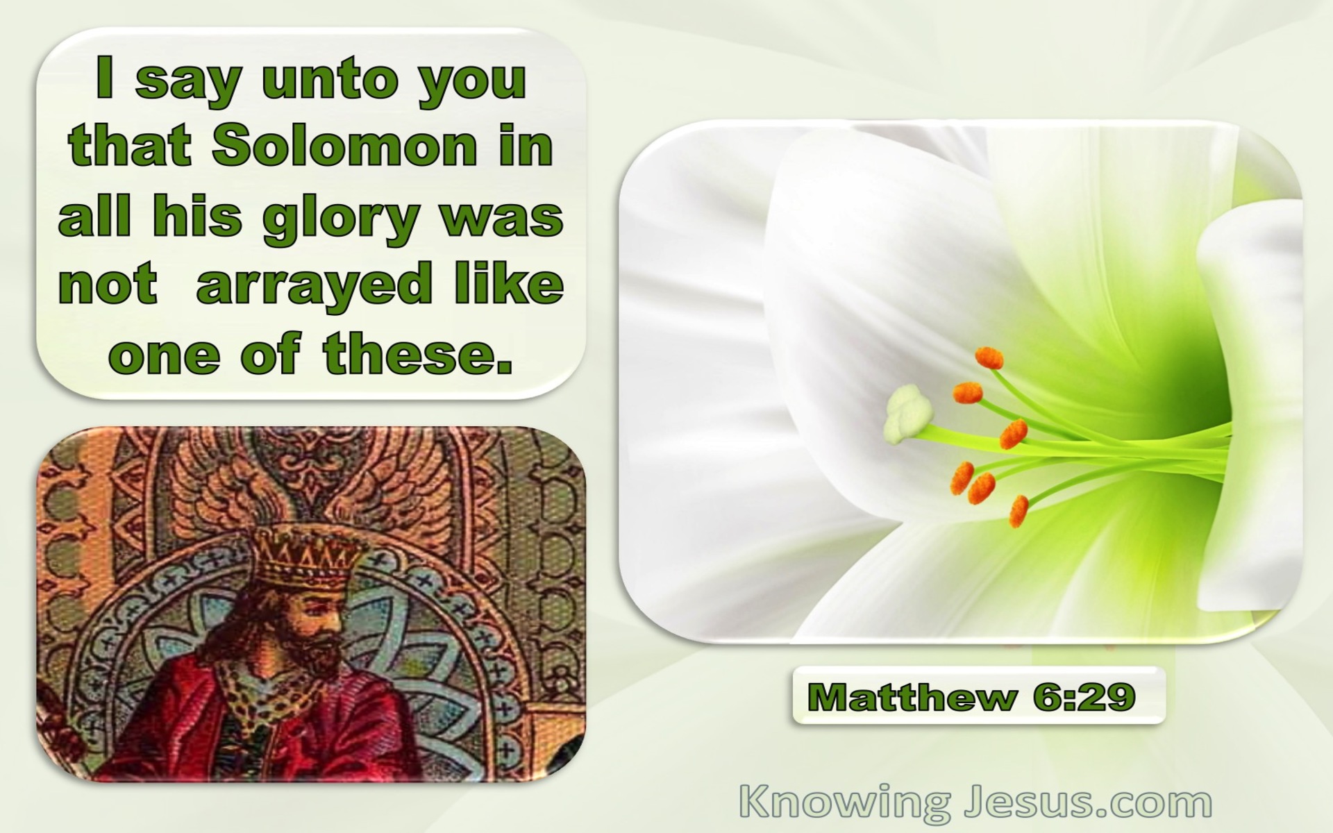 Matthew 6:29 Solomon Was Not Arrayed Like These (green)